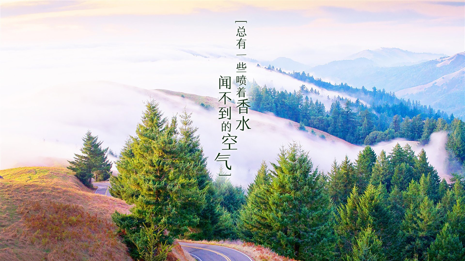 世俱杯专业体育赛事直播平台-FPX战队新助理教练曾任WCG金牌选手，fpx 主教练