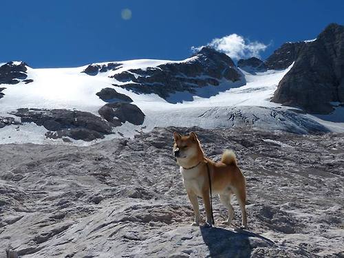 世俱杯足球赛事在线直播-体育新闻中心构建全国体育内容版权交易机制,体育市场媒体